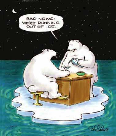 isberen geraken zonder ijs