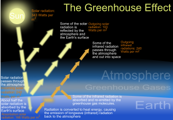 green house