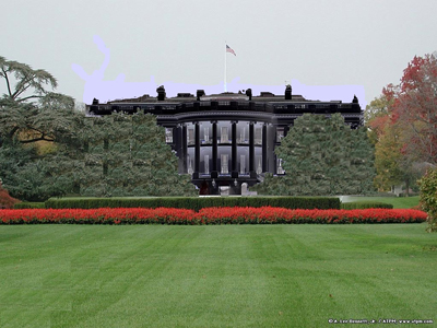 Obama's first decision: the black house