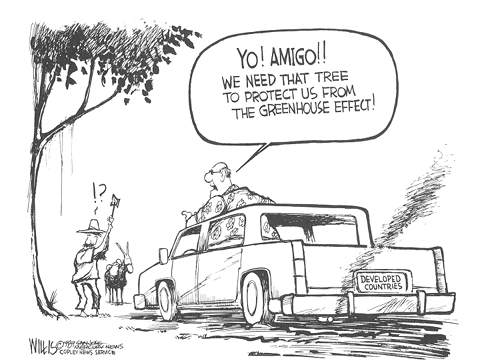 amigo we need that tree