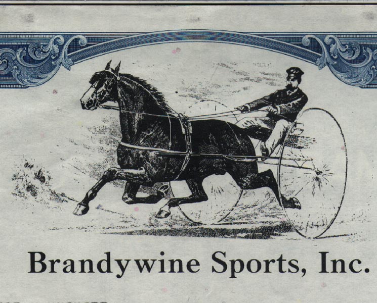 Brandywine Sports Onc., aandelencertificaat uit 1981